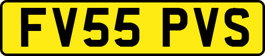 FV55PVS