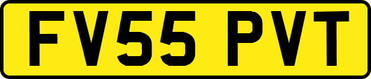 FV55PVT