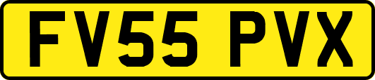 FV55PVX