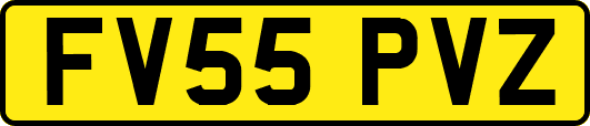 FV55PVZ