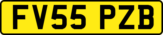 FV55PZB