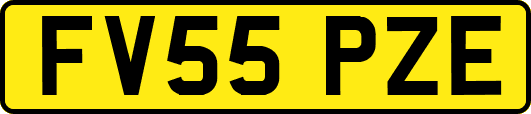 FV55PZE