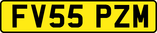 FV55PZM