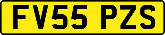 FV55PZS