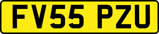 FV55PZU