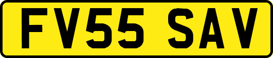 FV55SAV