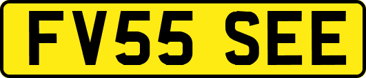 FV55SEE