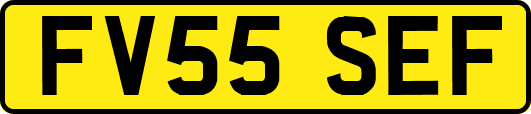 FV55SEF