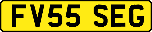 FV55SEG