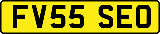 FV55SEO