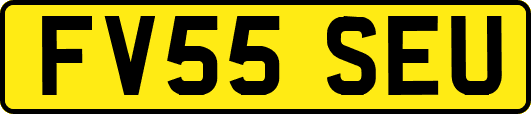 FV55SEU