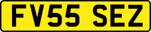 FV55SEZ