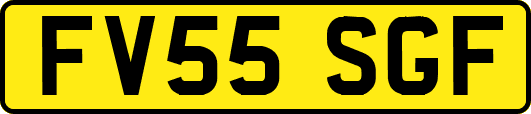 FV55SGF