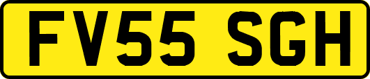 FV55SGH
