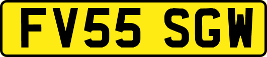 FV55SGW