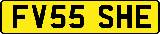 FV55SHE