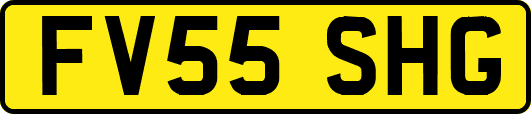 FV55SHG