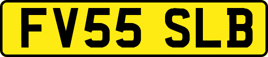 FV55SLB