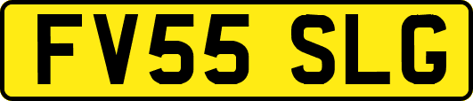 FV55SLG