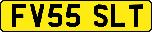 FV55SLT