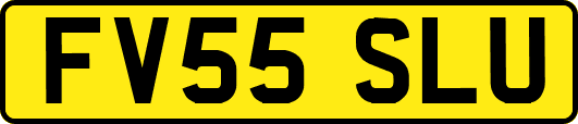 FV55SLU