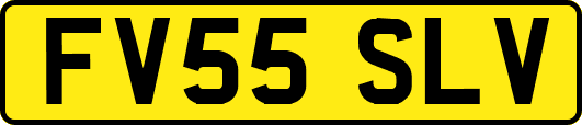 FV55SLV