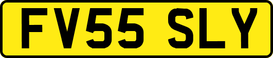 FV55SLY