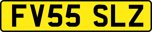 FV55SLZ