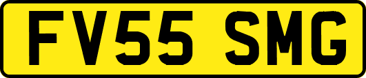 FV55SMG