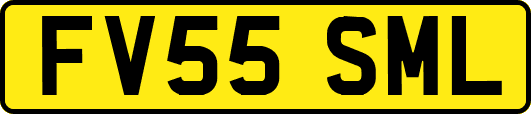 FV55SML