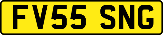 FV55SNG