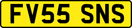 FV55SNS