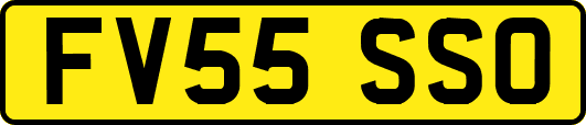 FV55SSO