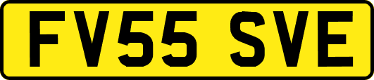 FV55SVE