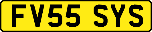 FV55SYS