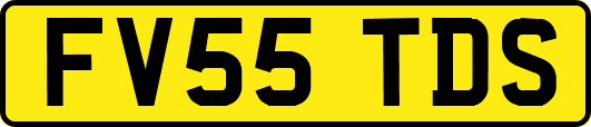 FV55TDS