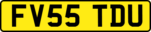 FV55TDU