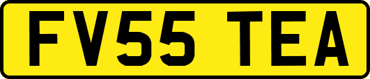 FV55TEA