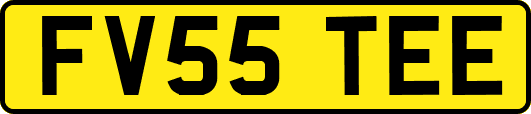 FV55TEE