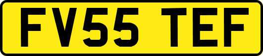 FV55TEF