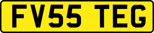 FV55TEG