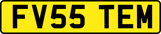 FV55TEM