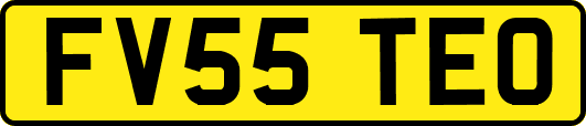 FV55TEO