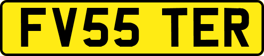 FV55TER
