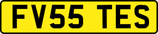 FV55TES