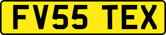 FV55TEX