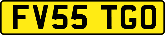 FV55TGO