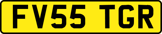 FV55TGR