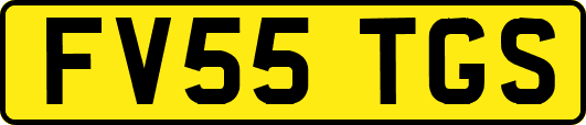 FV55TGS