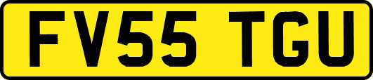 FV55TGU